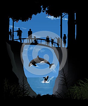 Orcas frolic in the ocean as people gather to watch from a foot bridge in a shoreline forest