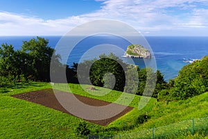 Orchard in Bermeo coast near the sea with Aketxe island view