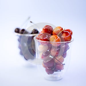 Orchard, berries. Healthy nutrition. Ripe berries
