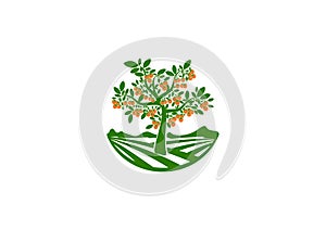Orchard logo, fruits garden symbol , tree icon, persimmon concept design
