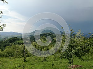 Orchard with mountain in distance Serbian usual landscape