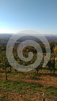 Orchard in the Mountains