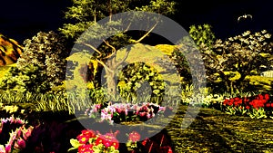 Orchard in spring time