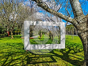 Orchard trees alley with white photo frame in the sunny afternoon