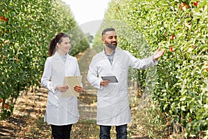 Orcharding, farmers working in farm, making notes, agricultural