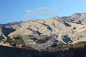 Orchards of Eastern Washington