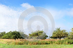 Orchards fields in Ile-De-France region