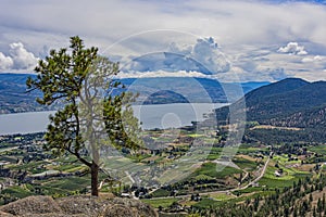 Orchards and Okanagan Lake from Giants Head Mountain near Summerland British Columbia Canada