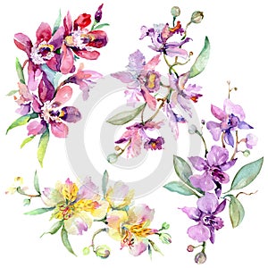 Orchid bouquets floral botanical flowers. Watercolor background illustration set. Isolated bouquet illustration element.