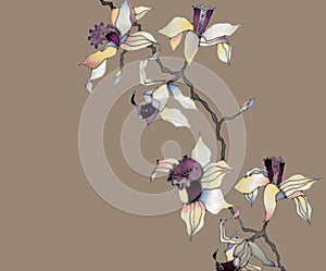 Orchid branch