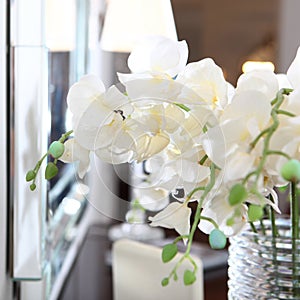 An orchid branch in a glass vase. A bouquet of white orchids in the interior. A vase with beautiful orchid flowers on