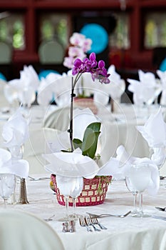 Orchid centerpiece on wedding tables