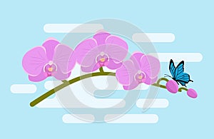 Orchid in flat design. Vector illustration. Background.