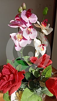 Orchid flower arrangement with beautiful flowers