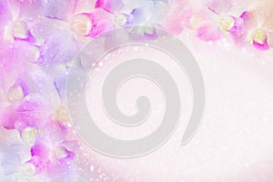 Orchid flower blooming in soft pastel style background with copy space, idea for valentine card