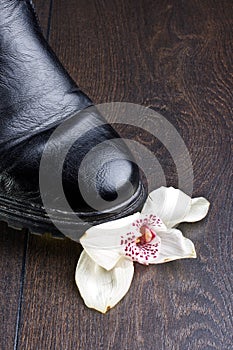 Orchid flower crashed with black shoe