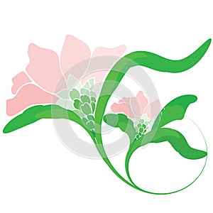 Orchid Flower Logo