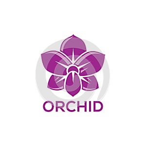 Orchid Flower Logo Template. Phallocentrism Vector Design. Flower Illustration