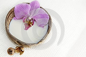 Orchid flower in milk in a coconut on a light background, preparation for a spa treatment, relaxing atmosphere, postcard.