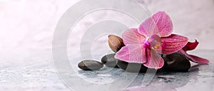 Orchid flower with spa stones on white marble background. wellness beauty treatment. banner copy space