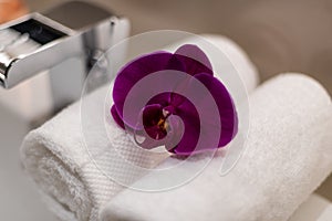 Orchid flower on towel