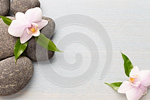 Orchid flower on wooden background with spa stones