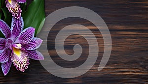 Orchid flower on wooden background. Top view with copy space