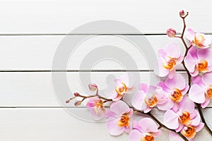 Orchid flower on the wooden pastel background. Spa and wellness scene