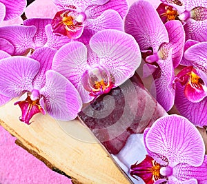 Orchid flowers and handmade soap.