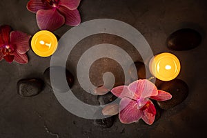 Orchid flowers with spa stones and candles on dark rock background. beauty treatment and wellness concept