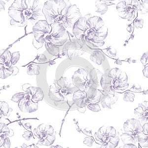 Orchid flowers on white background. Light puple contour. Seamless floral pattern. Watercolor painting. Hand drawn illustration.
