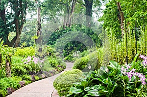 Orchid garden, part of Botanic Gardens in Singapore