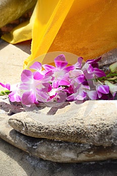 Orchid in hand image of buddh