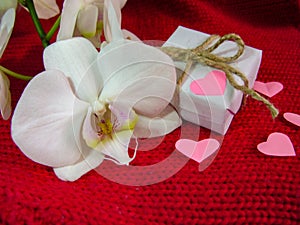Orchid and hearts on red cloth, Valentines Day background, wedding day