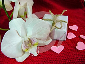 Orchid and hearts on red cloth, Valentines Day background, wedding day