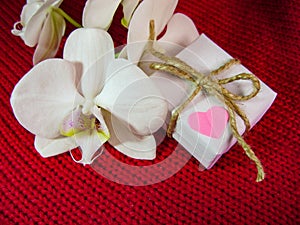 Orchid and hearts on red cloth, Valentines Day background, wedding day