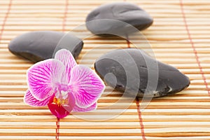 Orchid and hot stones