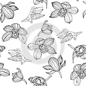 Orchid and Hummingbird flowers seamless