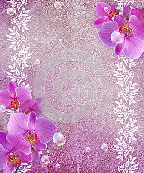 Orchid and openwork frame photo