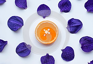Orchid petal with orange slice on white background.flat lay