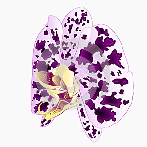 Orchid Phalaenopsis flower spotted  purple and white natural flower fourteen on a white background watercolor vintage vector