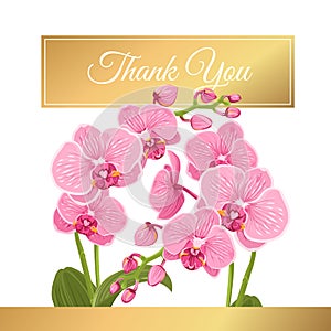 Orchid phalaenopsis flowers bouquet thank you card