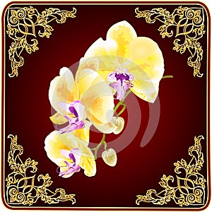 Orchid Phalaenopsis with golden flowers tropical plants on a red background with ornaments vintage vector botanical illustration