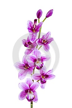 Orchid purple artificial flower