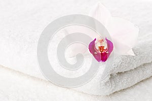 Orchid on towel