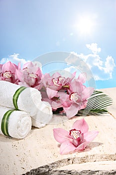 Orchid and Towel in Spa Display