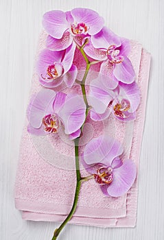 Orchid and towel