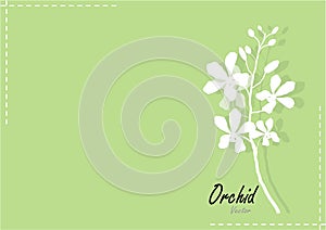 Orchid white paper cut orchid on green background,vector illustration