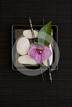 Orchid and white pebble