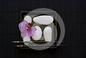 Orchid and white pebble